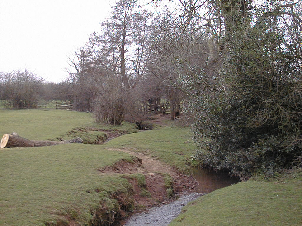 North Brook in the field